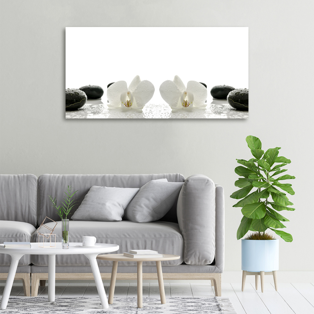 Foto obraz canvas Orchidea