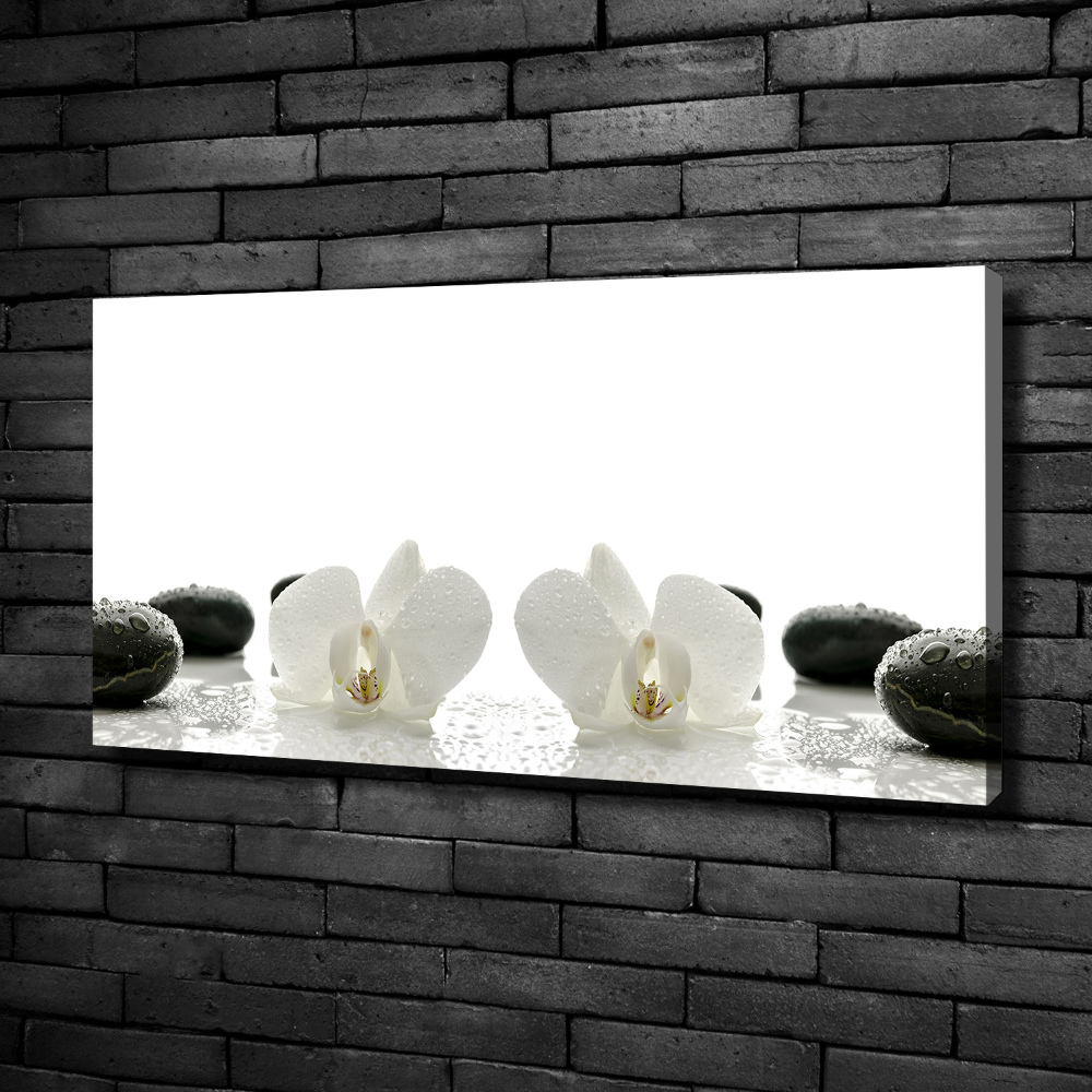 Foto obraz canvas Orchidea
