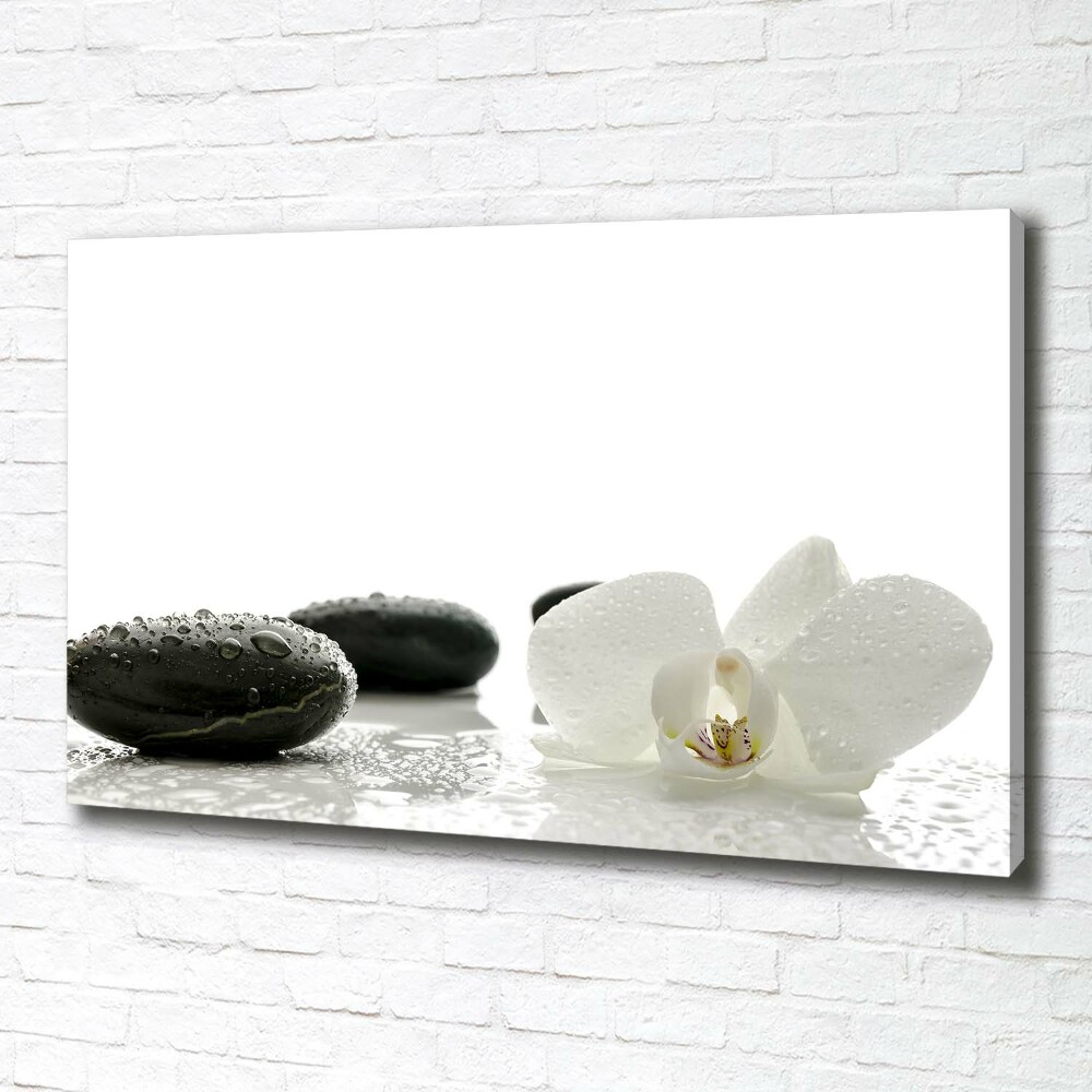 Foto obraz canvas Orchidea