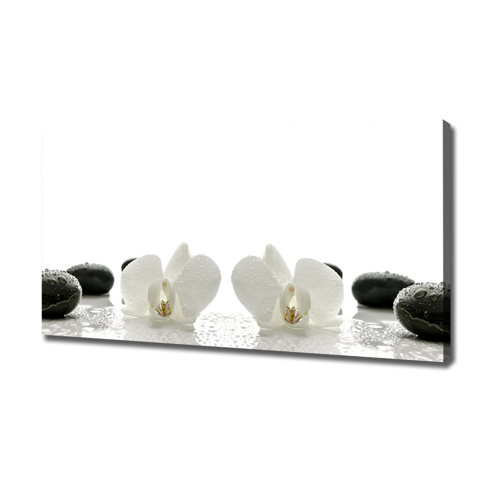 Foto obraz canvas Orchidea