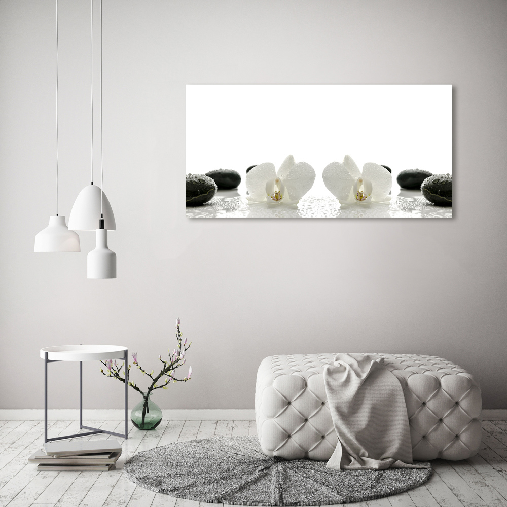 Foto obraz canvas Orchidea