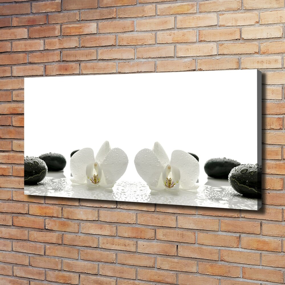 Foto obraz canvas Orchidea