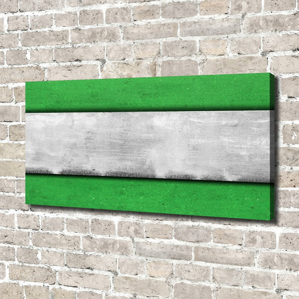 Foto obraz canvas Zielony mur