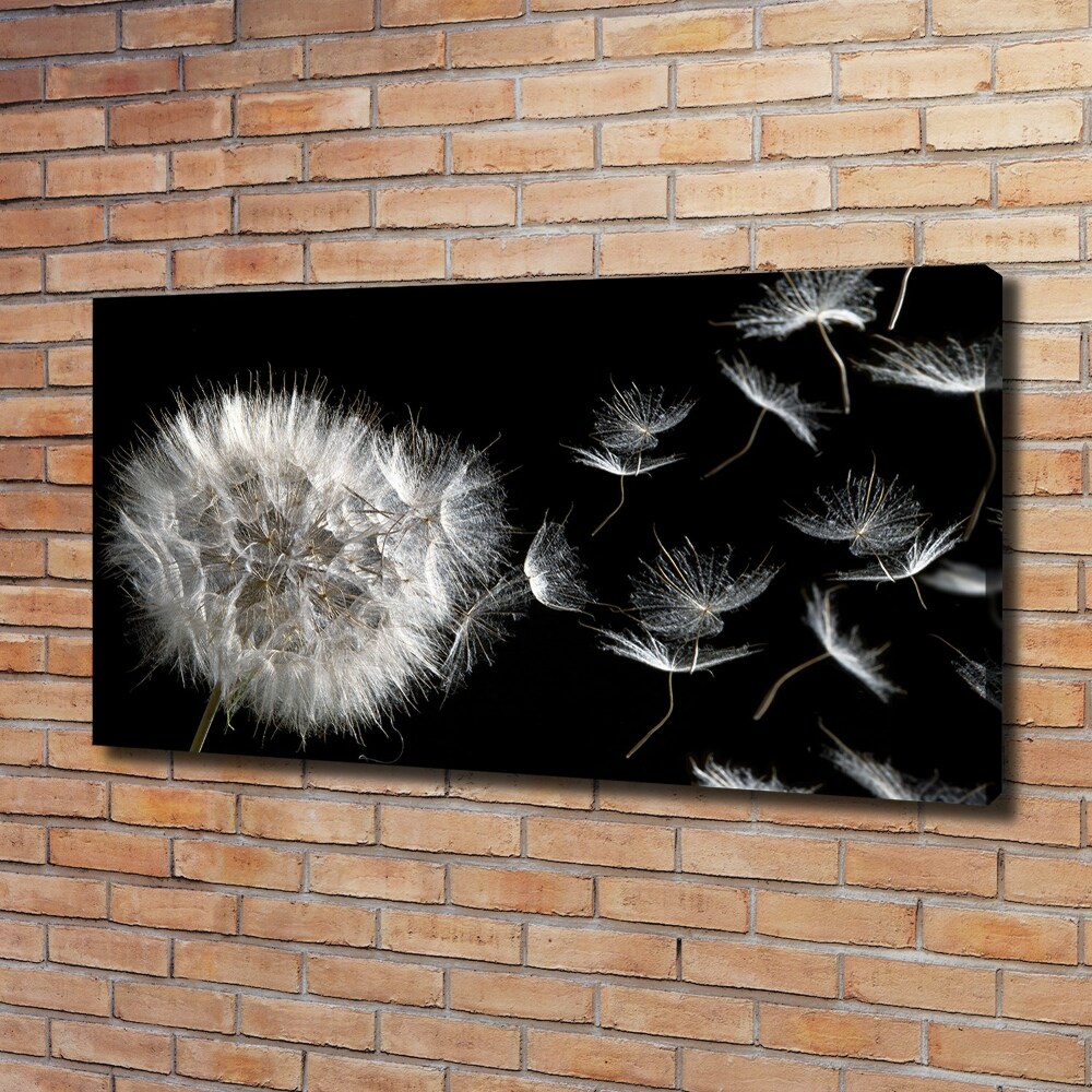 Foto obraz canvas Dmuchawiec