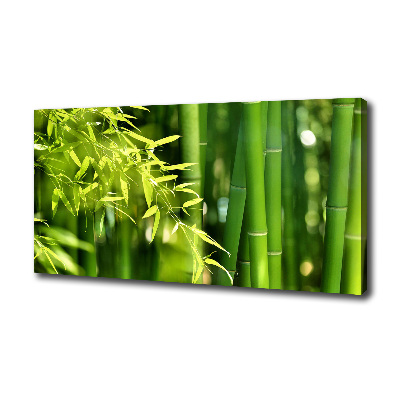 Duży foto obraz na ścianę canvas Bambus