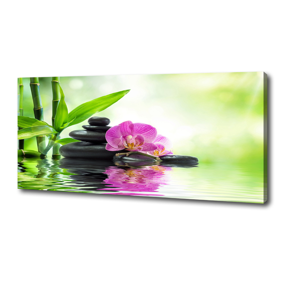 Foto obraz canvas Orchidea