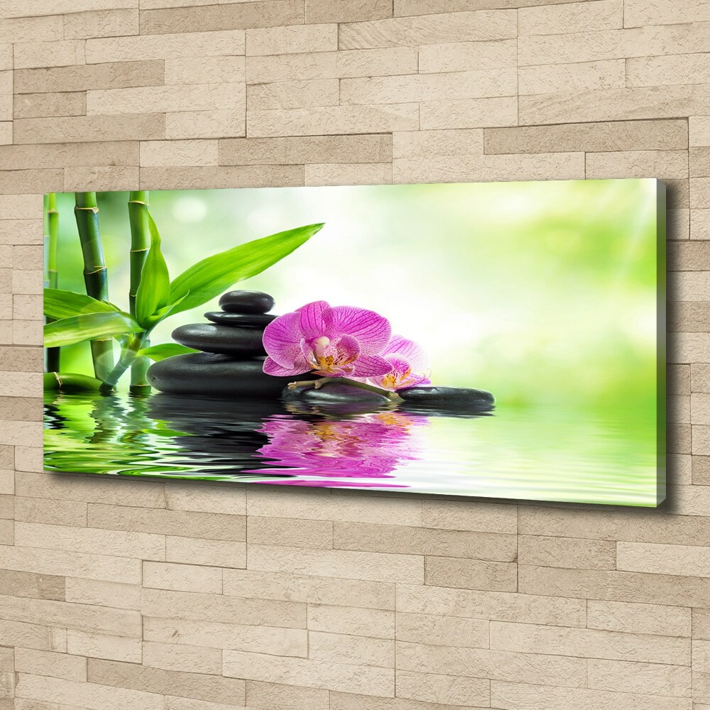 Foto obraz canvas Orchidea