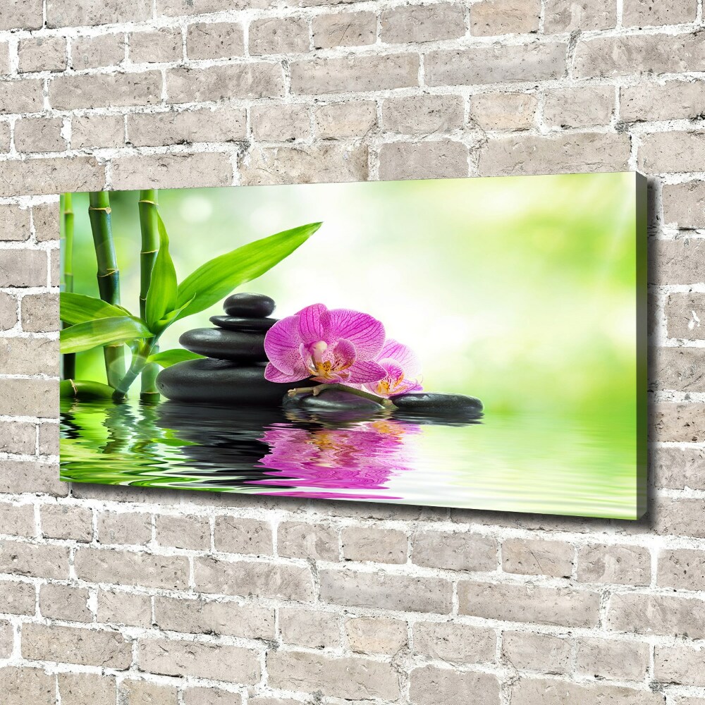 Foto obraz canvas Orchidea