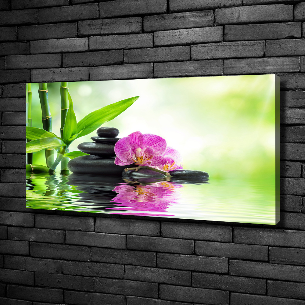 Foto obraz canvas Orchidea