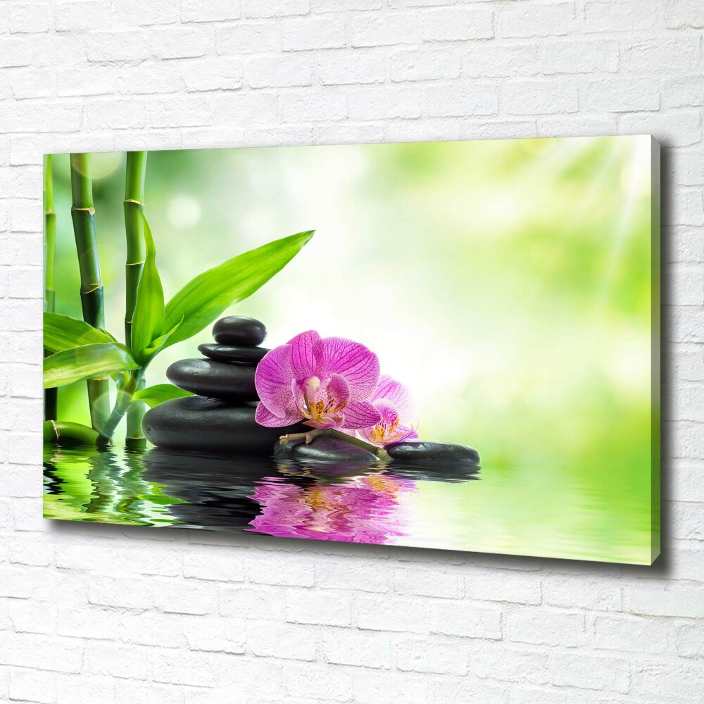 Foto obraz canvas Orchidea