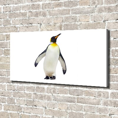 Foto obraz canvas Pingwin