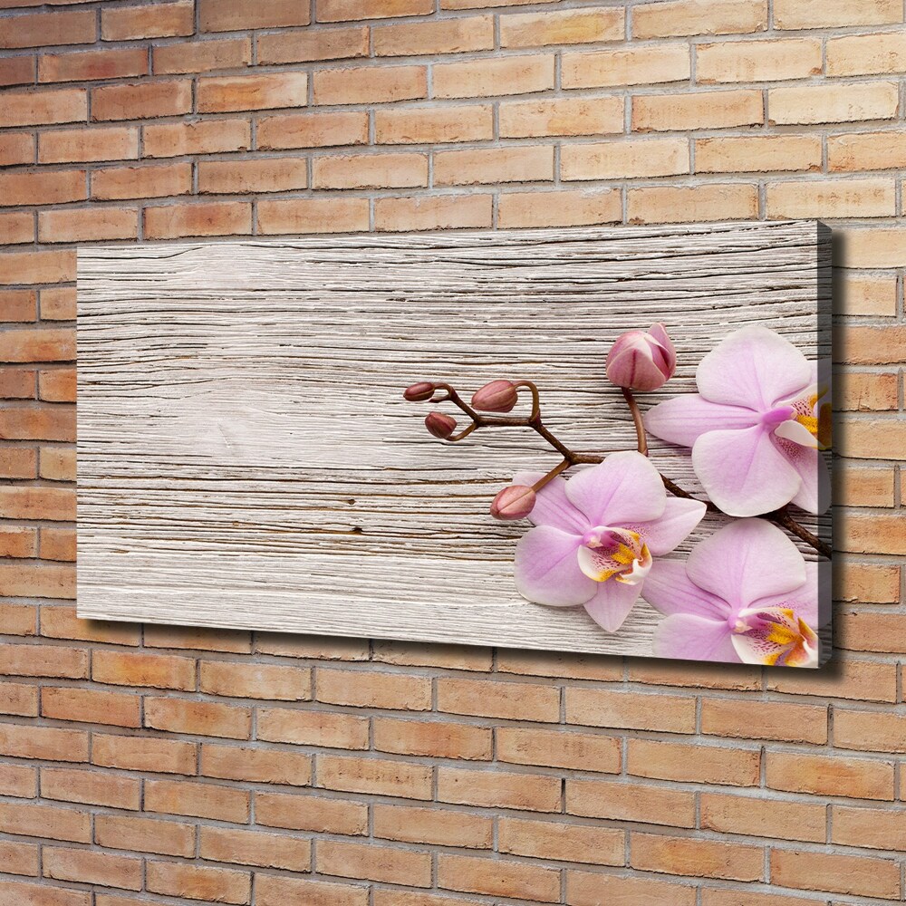 Foto obraz na płótnie Orchidea na drewnie