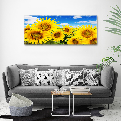 Foto obraz canvas Słoneczniki
