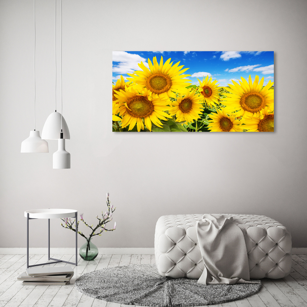 Foto obraz canvas Słoneczniki