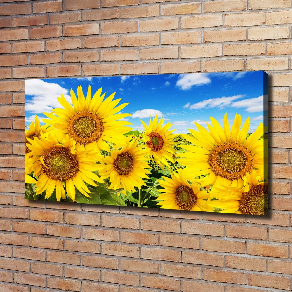 Foto obraz canvas Słoneczniki