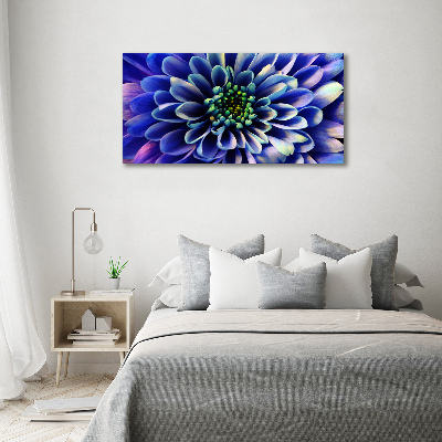 Foto obraz ze zdjęcia do salonu Aster