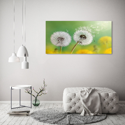 Foto obraz canvas Dmuchawce