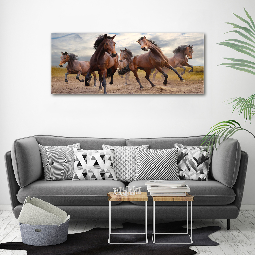 Foto obraz canvas Pięć koni