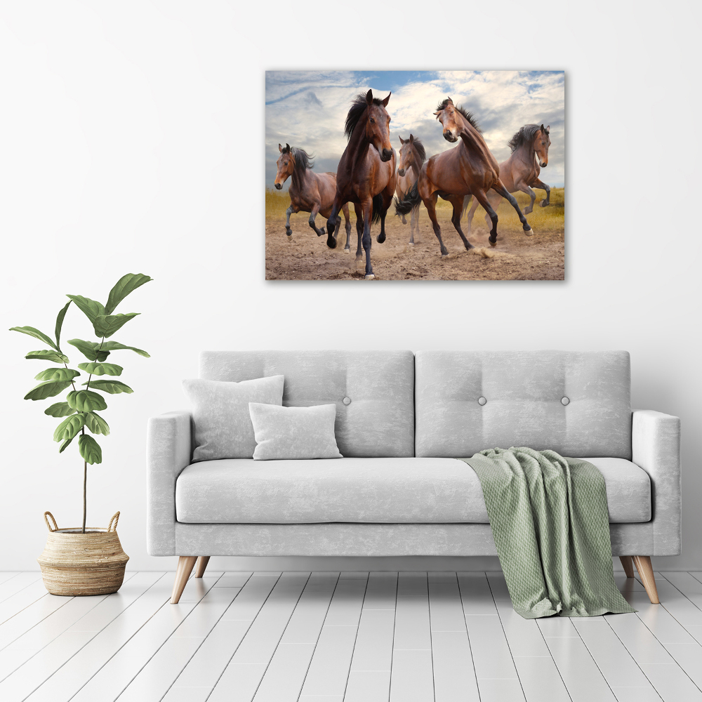 Foto obraz canvas Pięć koni