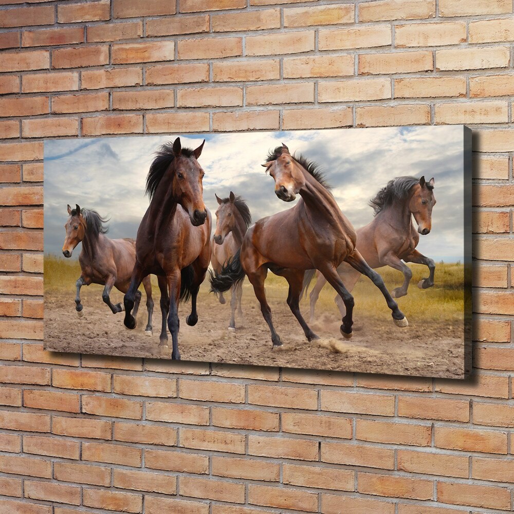 Foto obraz canvas Pięć koni