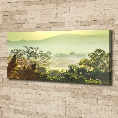 Foto obraz canvas Dżungla