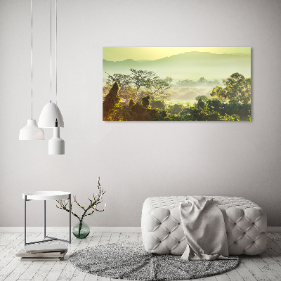 Foto obraz canvas Dżungla
