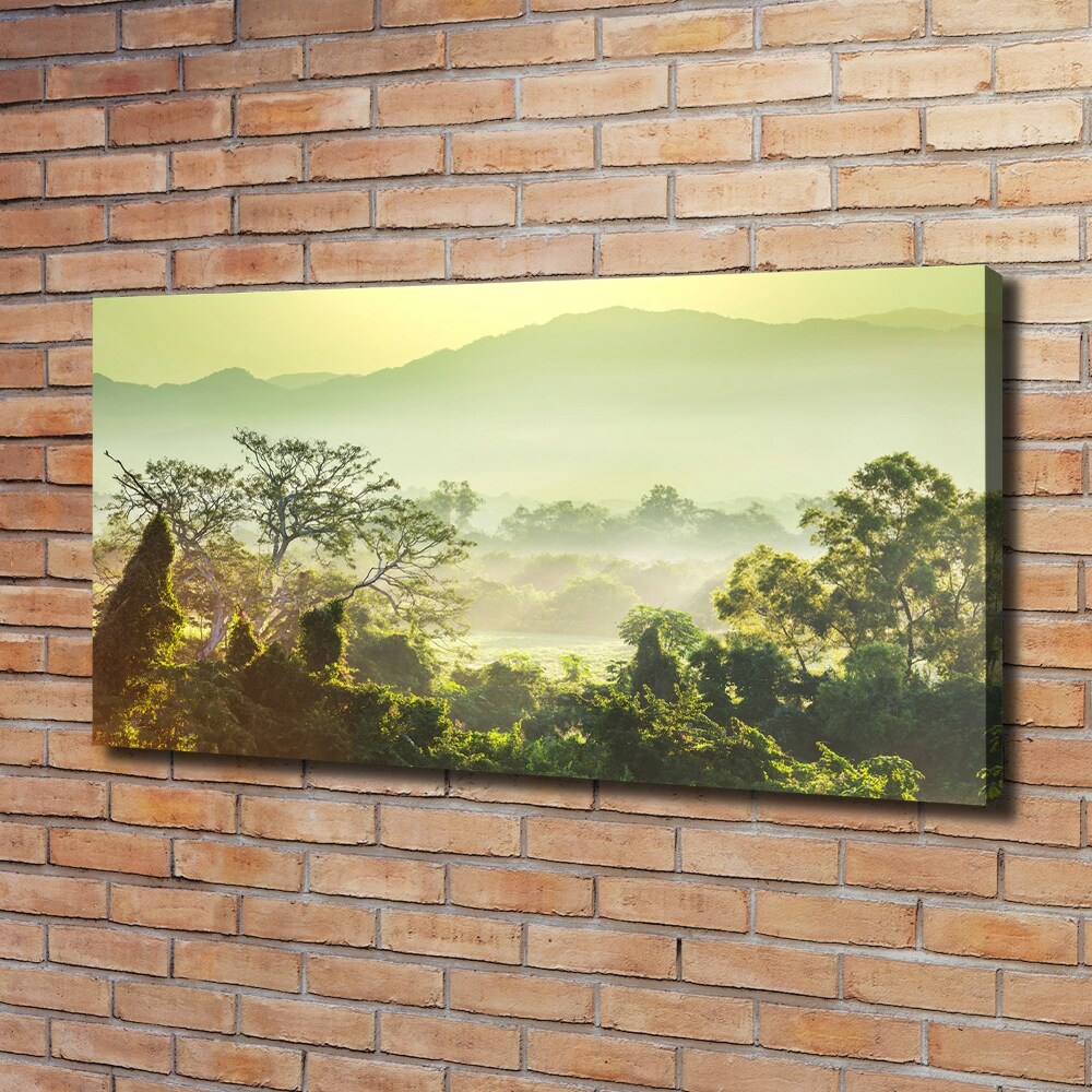 Foto obraz canvas Dżungla
