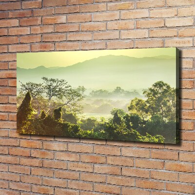 Foto obraz canvas Dżungla
