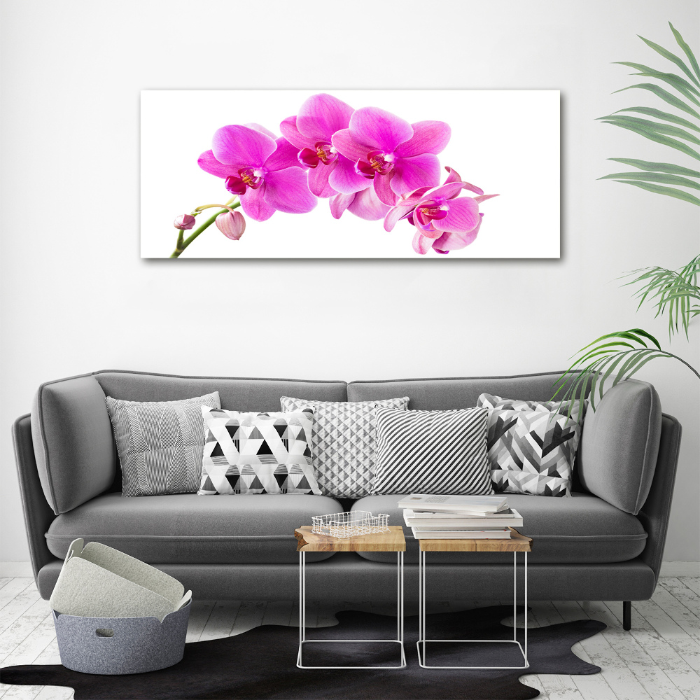 Foto obraz na płótnie Różowa orchidea