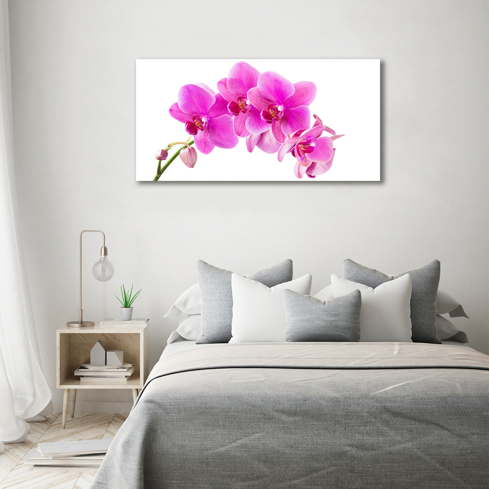 Foto obraz na płótnie Różowa orchidea