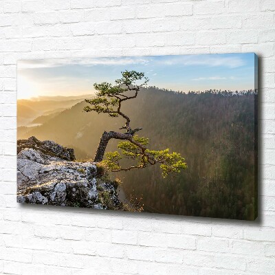 Foto obraz na płótnie Sokolica Pieniny