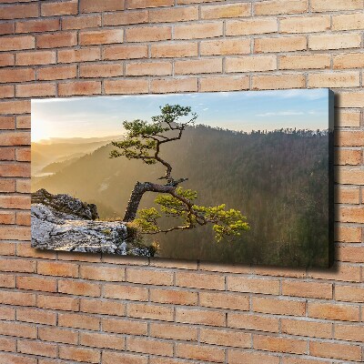 Foto obraz na płótnie Sokolica Pieniny