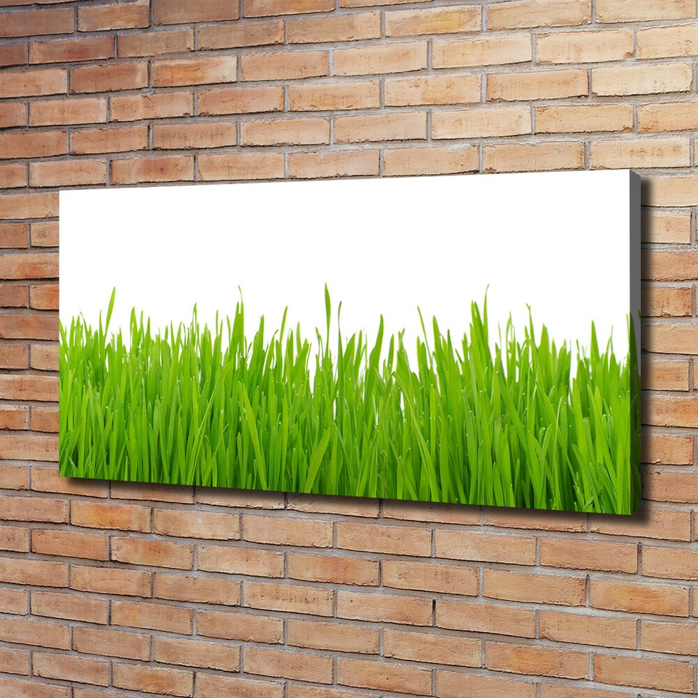 Foto obraz ze zdjęcia do salonu Trawa