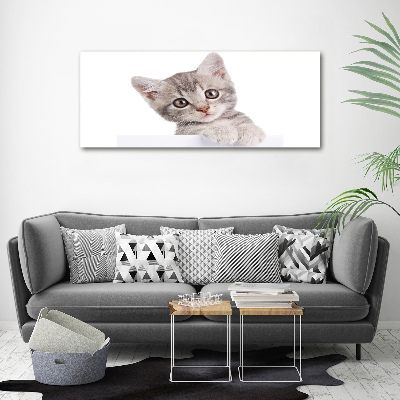 Foto obraz canvas Szary kot
