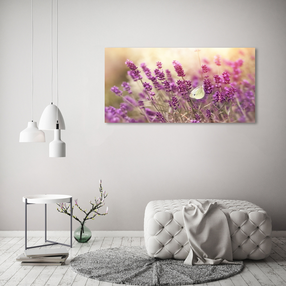 Foto obraz canvas Lawenda