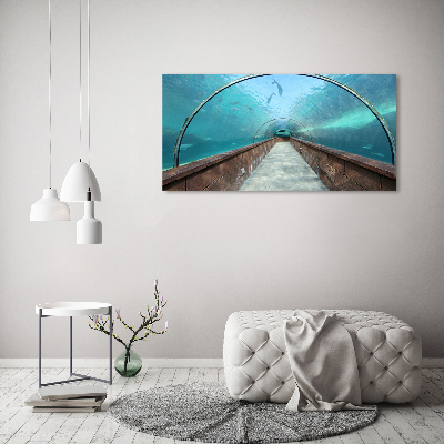 Foto obraz na płótnie Tunel akwarium