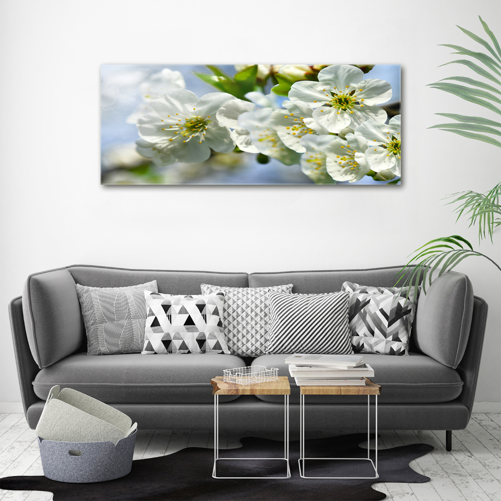 Foto obraz canvas Kwiat wiśni