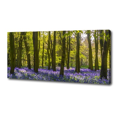 Foto obraz canvas Las wiosną