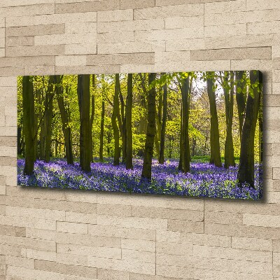 Foto obraz canvas Las wiosną