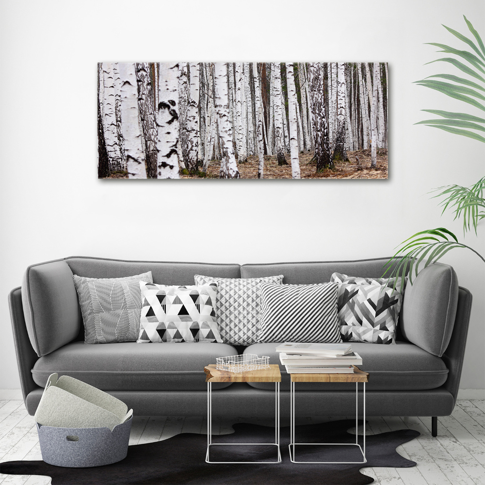 Duży foto obraz na ścianę canvas Brzoza