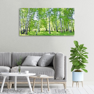 Duży foto obraz na ścianę canvas Brzozy