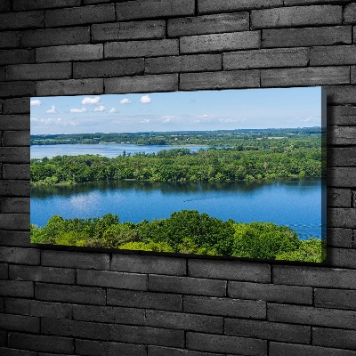 Foto obraz na płótnie Las nad jeziorem