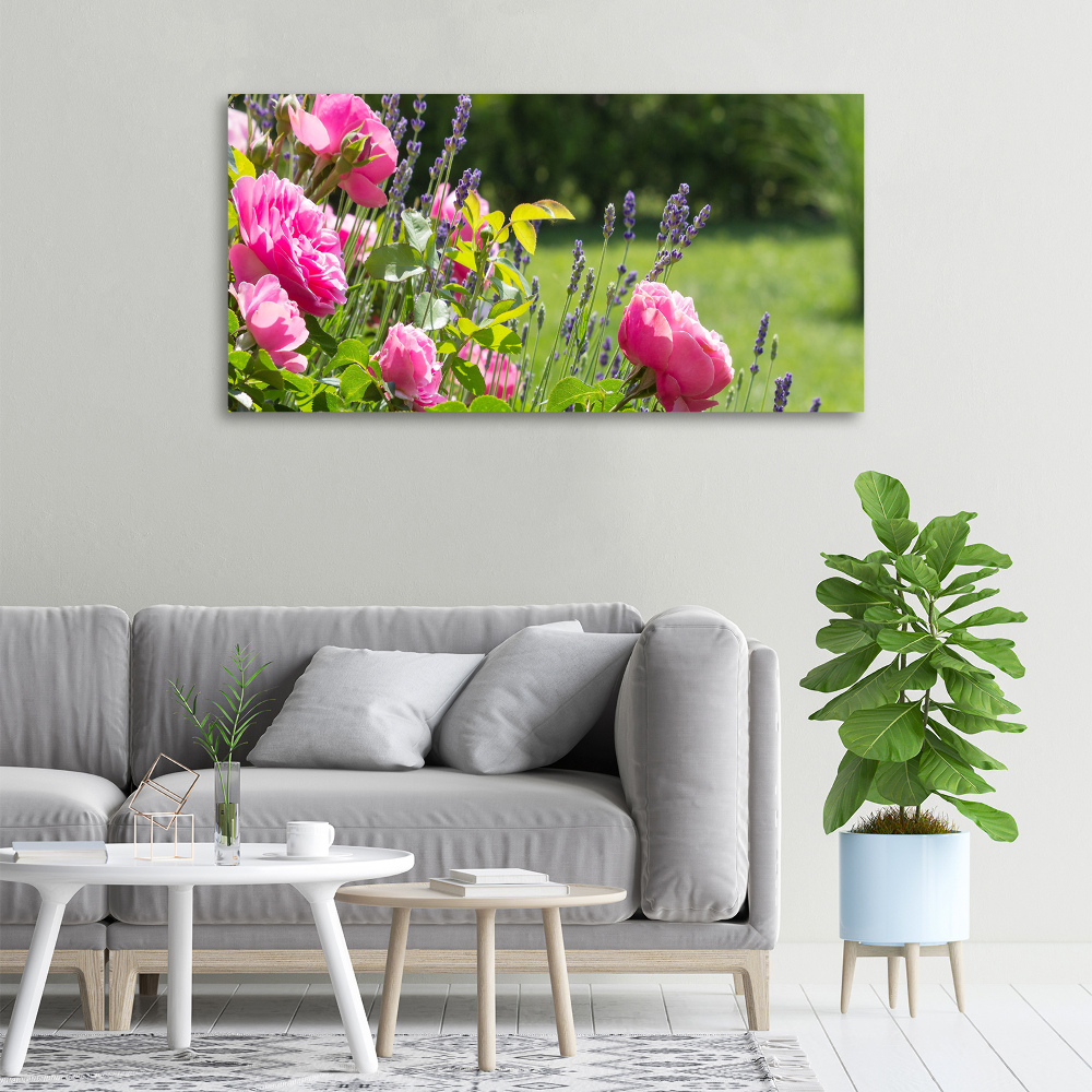 Foto obraz canvas Dzika róża