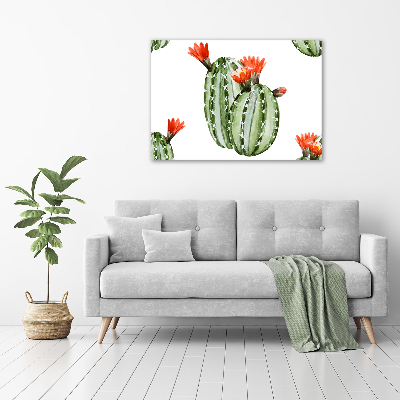 Foto obraz canvas Kaktusy
