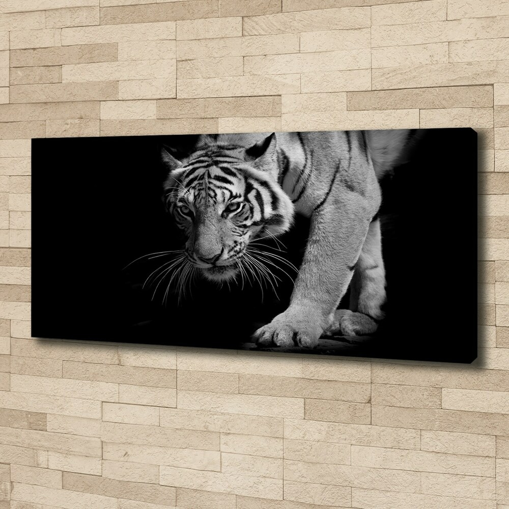 Duży foto obraz na ścianę canvas Tygrys