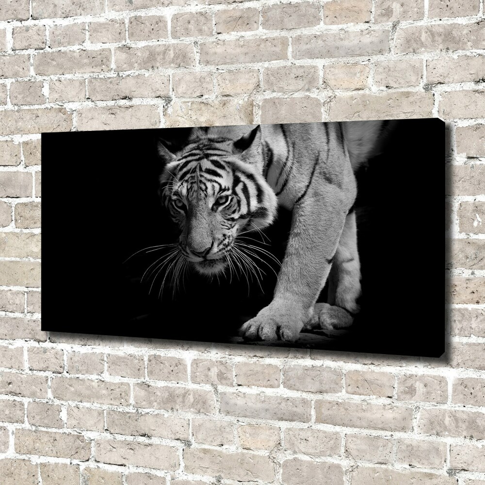 Duży foto obraz na ścianę canvas Tygrys