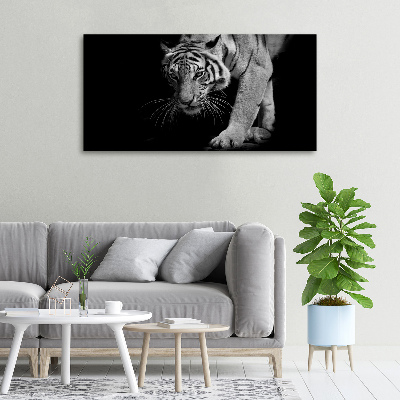 Duży foto obraz na ścianę canvas Tygrys