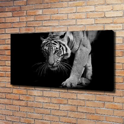 Duży foto obraz na ścianę canvas Tygrys