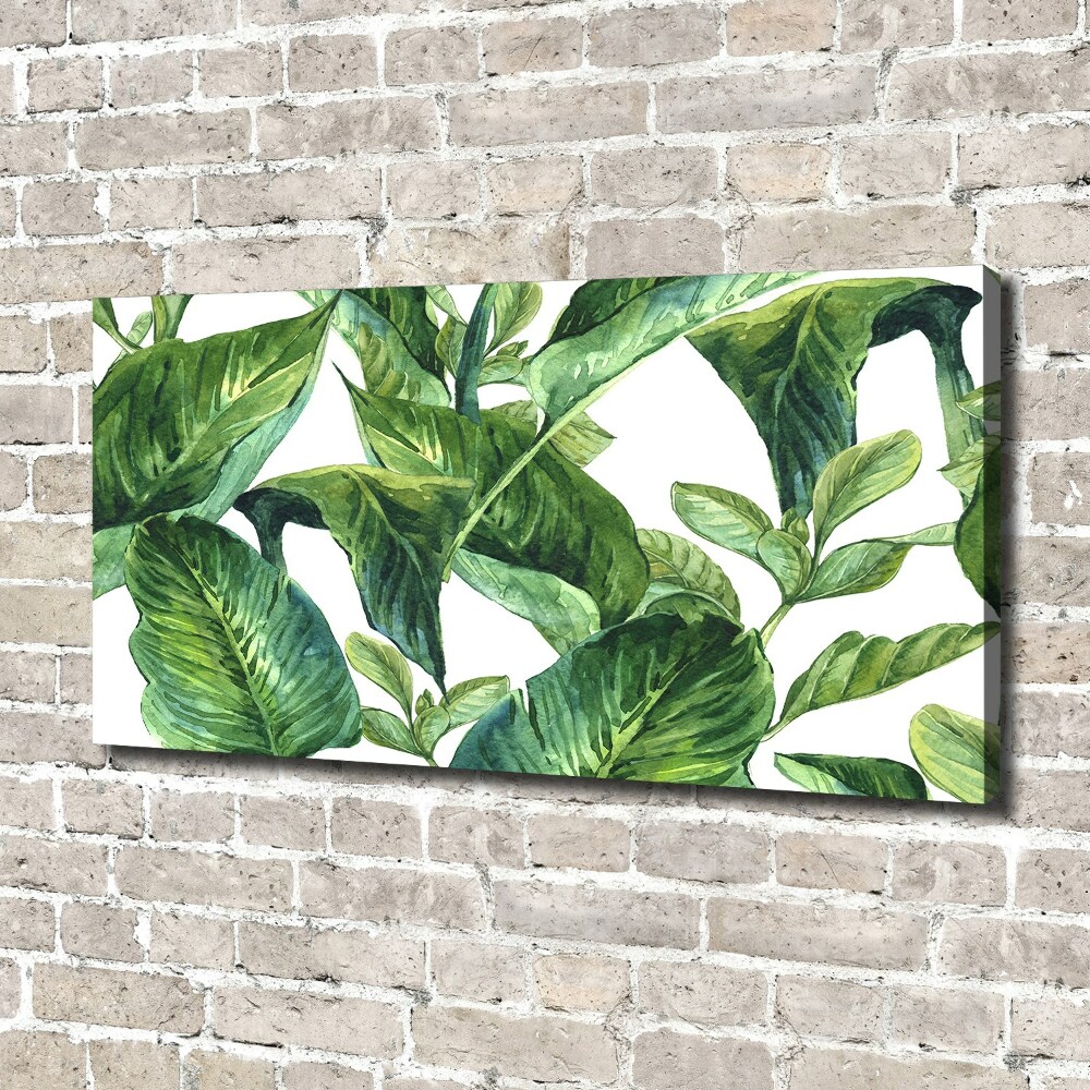 Duży foto obraz na ścianę canvas Liście