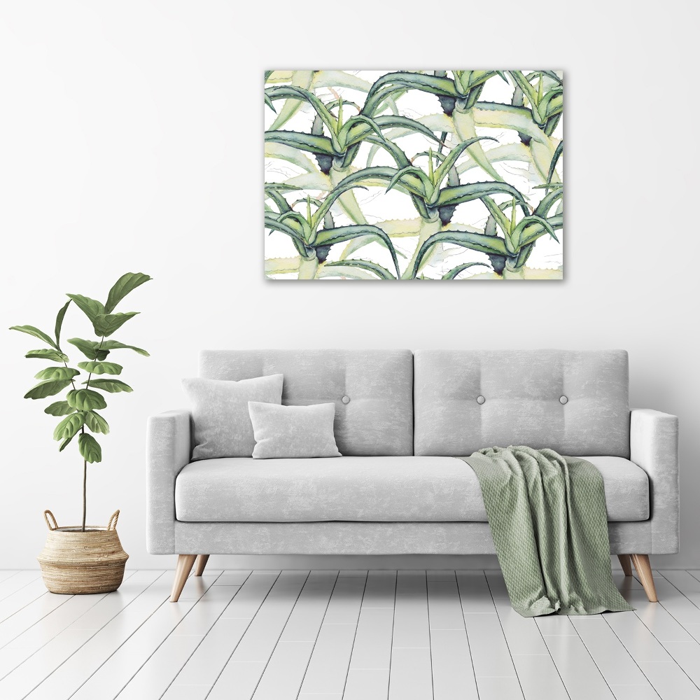 Foto obraz ze zdjęcia do salonu Aloes